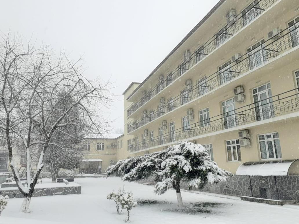 Gabala Hotel Dasca Ngoại thất bức ảnh